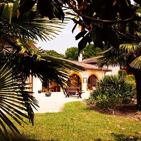Logis Hotel Restaurant Solenca Nogaro Εξωτερικό φωτογραφία